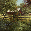 Red Roses for a Red Barn 20 x 20 Oil