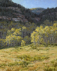 Rimmed in Radiance #2 - Vail Valley  30 x 24 Oil