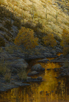 Sabino Gold  36 x 24