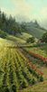 Sea Fog and Roses-Sonoma Wine Country 30 x 15 Oil 