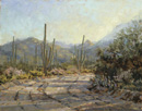 Shadow Threads of Morning  Oil