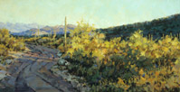 Shadowed Desert Road  12 x 24 Oil