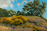 Sonoma Gold 20 x 30 Oil