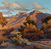 Sonoran Sundown Patina  20 x 20 Oil