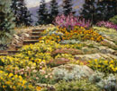 Spill of Mountain Flowers 14 x 18 Oil