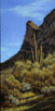 Sprinkled in Spring 30 x 15 Oil