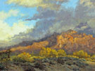 Storm Cloud Tapestry 30 x 40 Oil