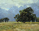 Storm Luster 24 x 30 Oil