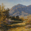 Strewn in Poppies and Lupin  24 x 24 Oil - Cowgirl Up Show