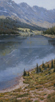 Summer Fishing Trail  15 x 8 Oil