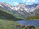 Summer's Mountain Breeze 30 x 40 Oil
