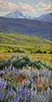 Summer's Fairy Trumpets and Lupine 24 x 12 Oil