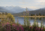 Summers Wildflower Parade   20 x 30 Oil