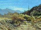 Sunwashed Desert Broom 22 x 30 Oil