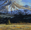 Sweep of Sunset Shadows 24 x24 Oil