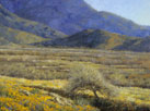 Tapestry of Madera Spring  Oil