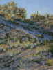 Tumbled in Lupin and Desert Marigold  16 x 12 Oil