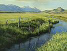 Where Water is Precious 12 x 16 Oil