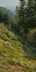 Wildflower Cascade  30 x 15 Oil