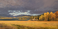 Wind's Up 12 x 24 Oil