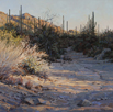 Woven in Sunrise and Lavender  20 x 20 Oil