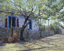 Pot & Peppers-Tubac  Acrylic