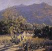Rincon Morning  Acrylic
