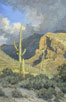 Storm Cliffs Afire-Pima Canyon  Acrylic